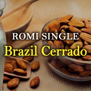 [로미커피] 싱글오리진 브라질 세하도 /200g /500g /1kg